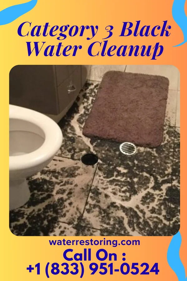 Category 3 Black Water Cleanup in Duncan, MS