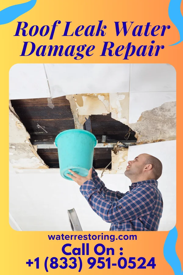 Roof Leak Water Damage Repair in Duncan, MS
