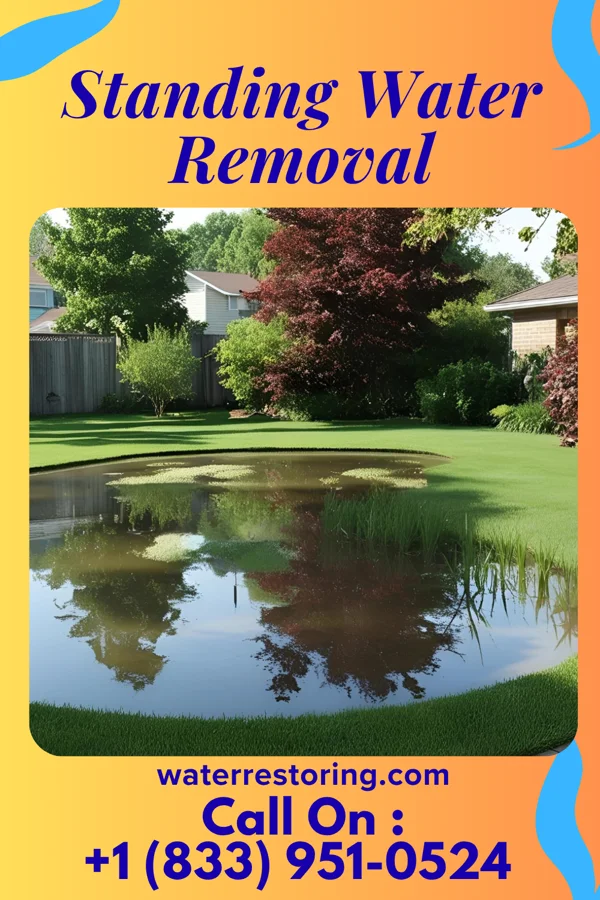 Standing Water Removal in Duncan, MS